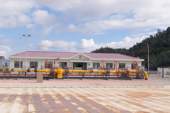 Стандартное устройство снижения давления сжатого природного газа GB с системой Stinky и дозатором